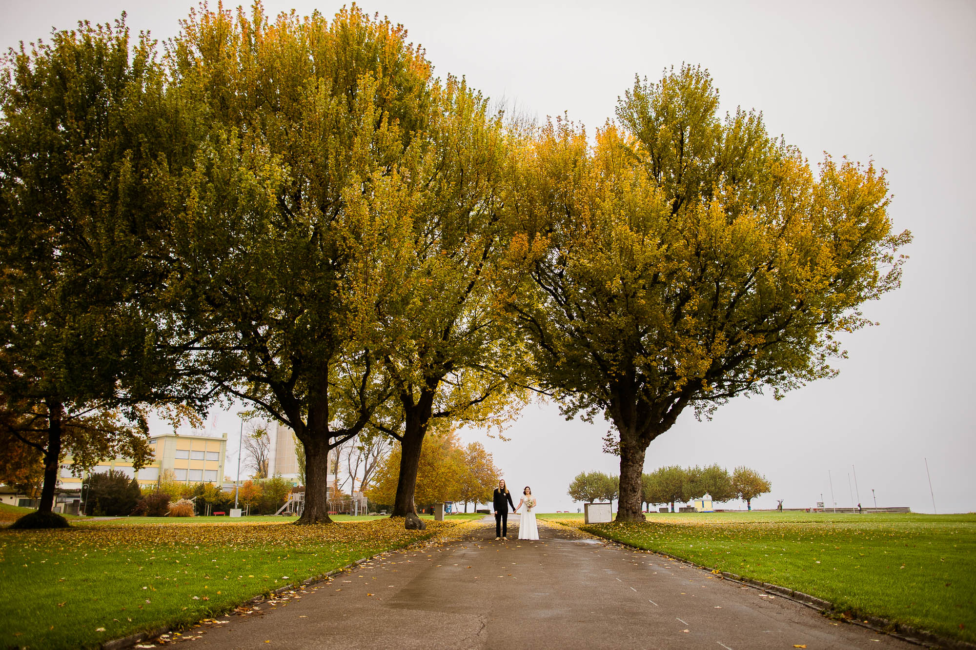 Export x3 1DX29170 Hochzeit 2020 Monika & Sharru